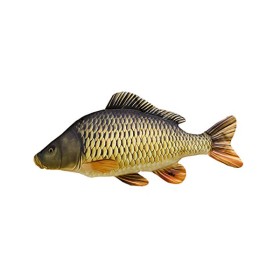 Pernă de crap comun