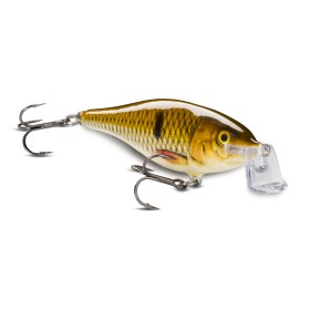 Shallow Shad Rap